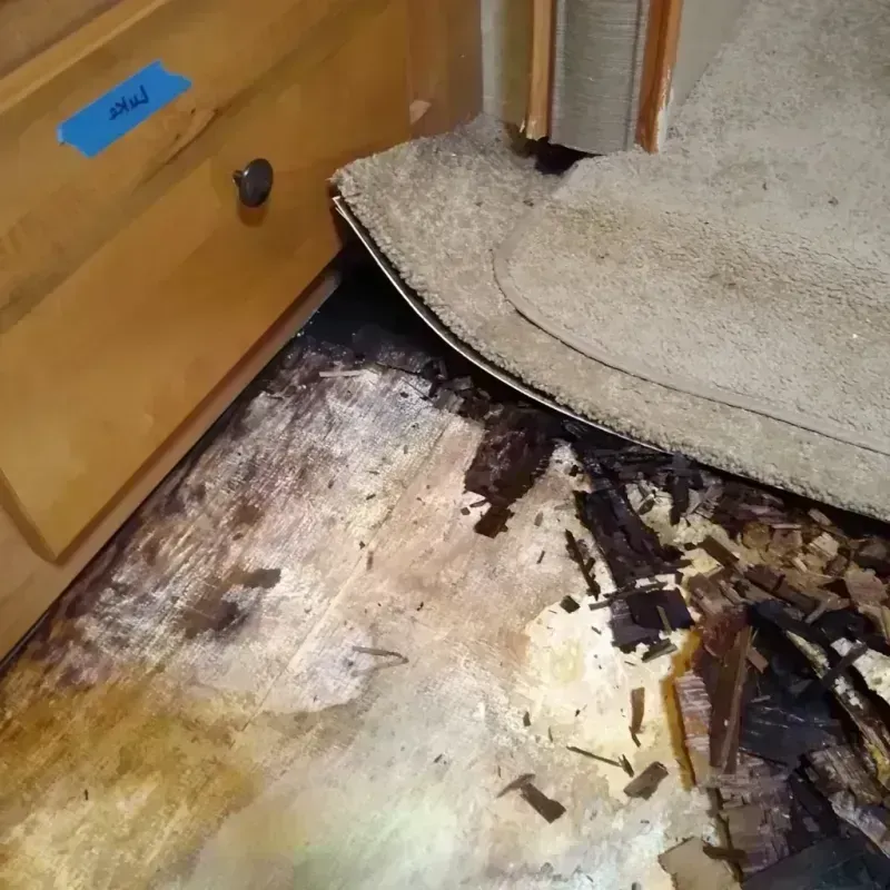 Wood Floor Water Damage in Fort Walton Beach, FL